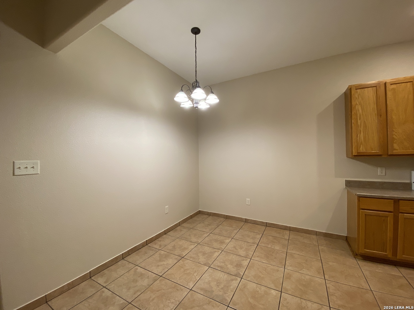 723A Dallas Pleasanton TX 78064