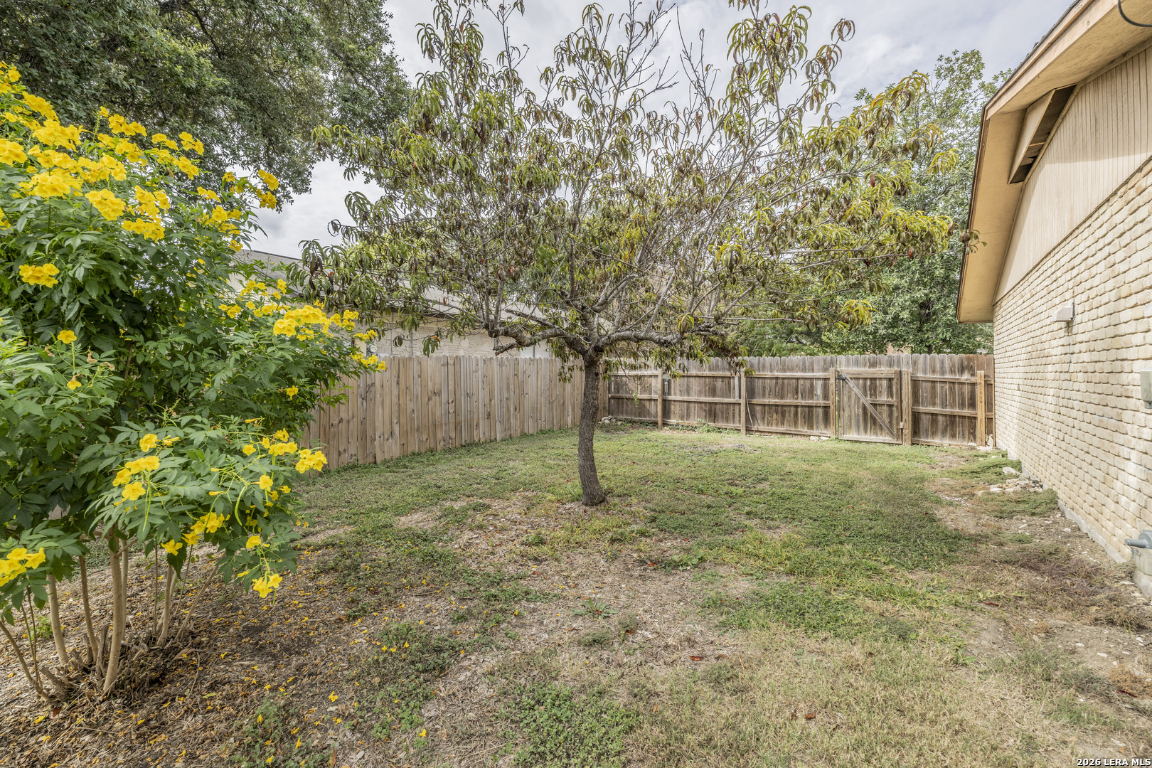 8822 Bridington San Antonio TX 78239