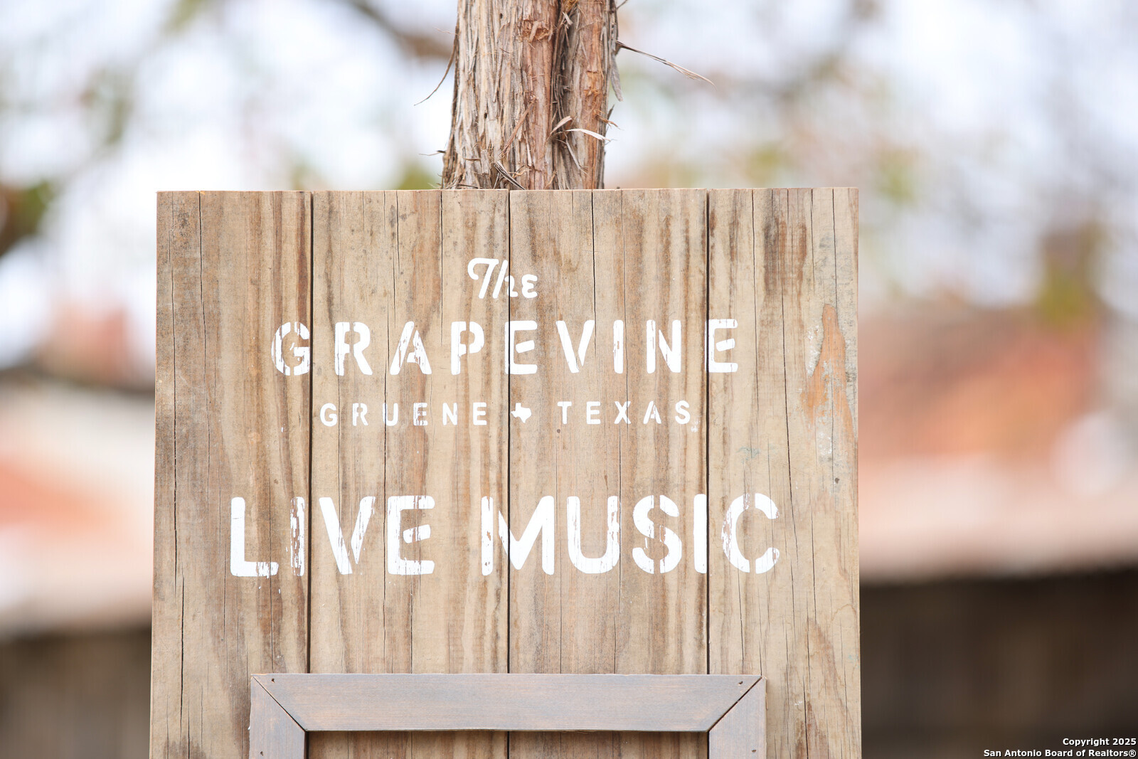 1059 Lime Gruene New Braunfels TX 78130