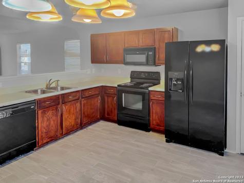 25311 Longbranch Run San Antonio TX 78261