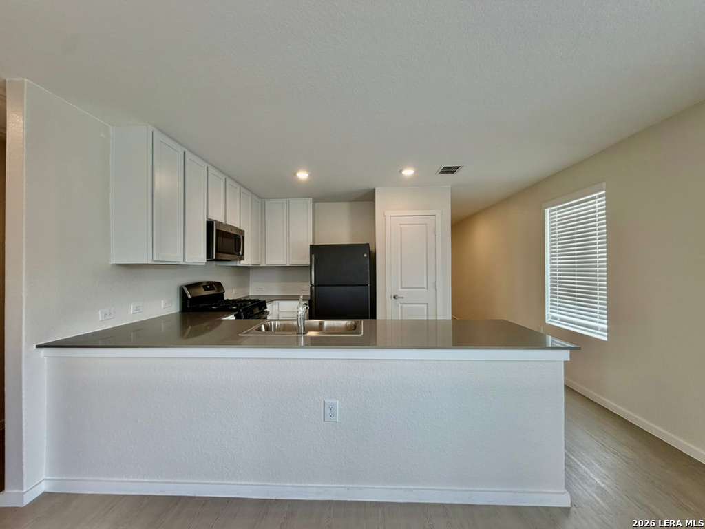 1402 Bertha Branch San Antonio TX 78224