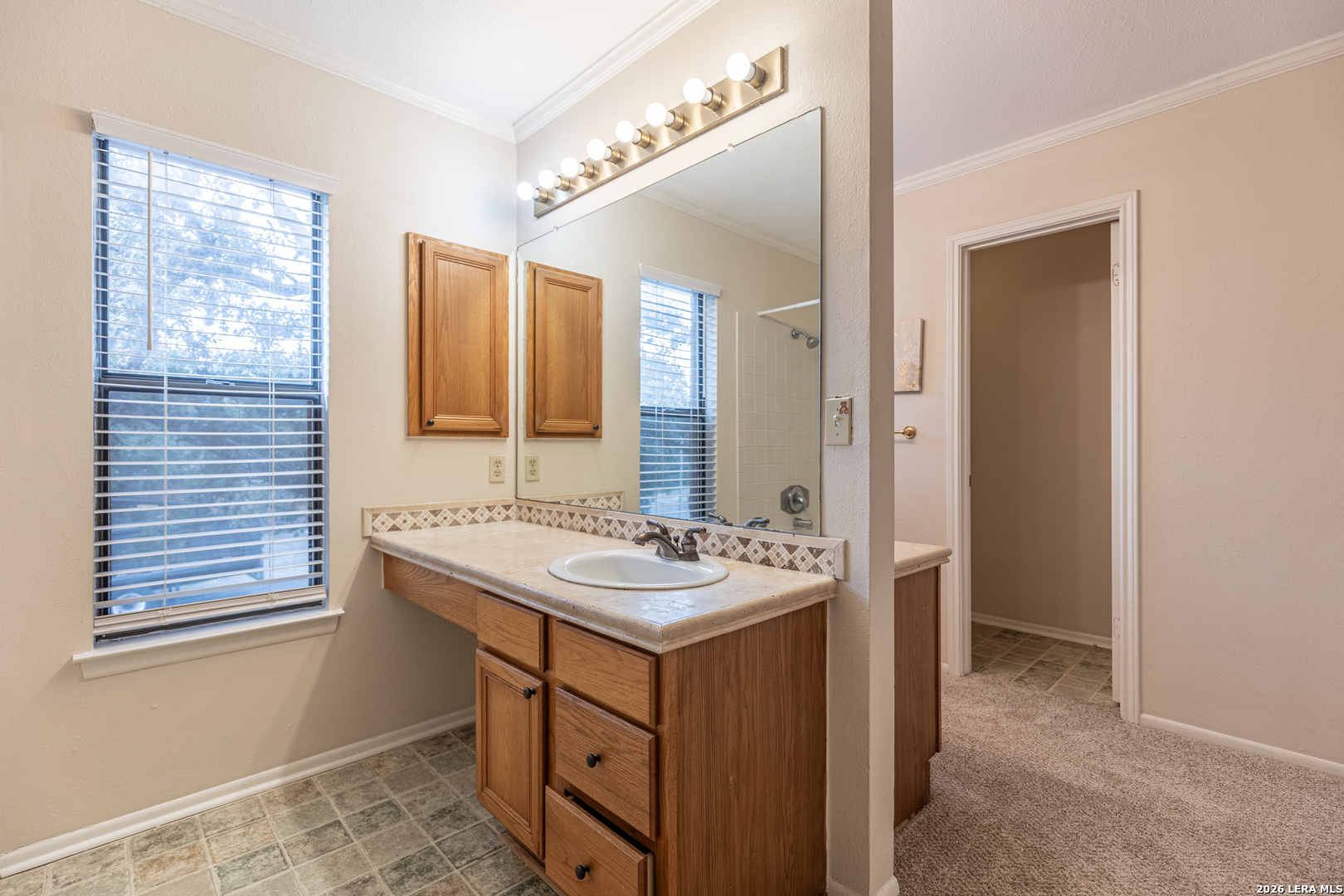 7515 Rainlilly Cove San Antonio TX 78249