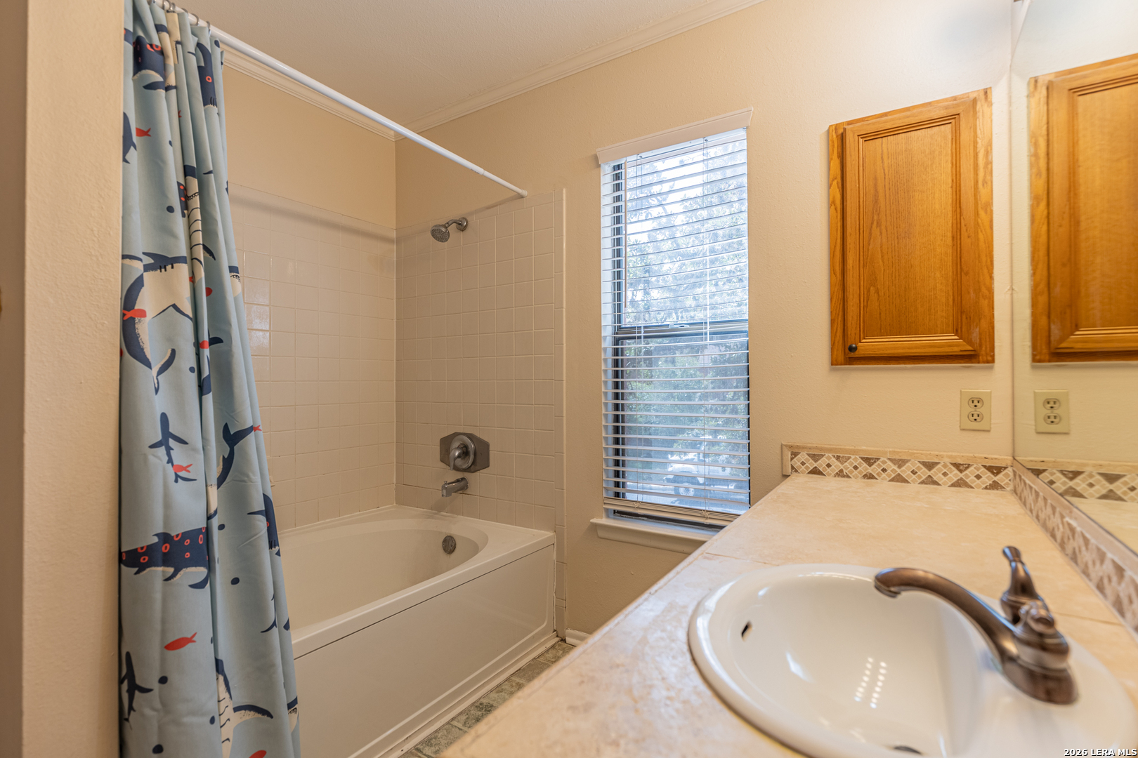7515 Rainlilly Cove San Antonio TX 78249