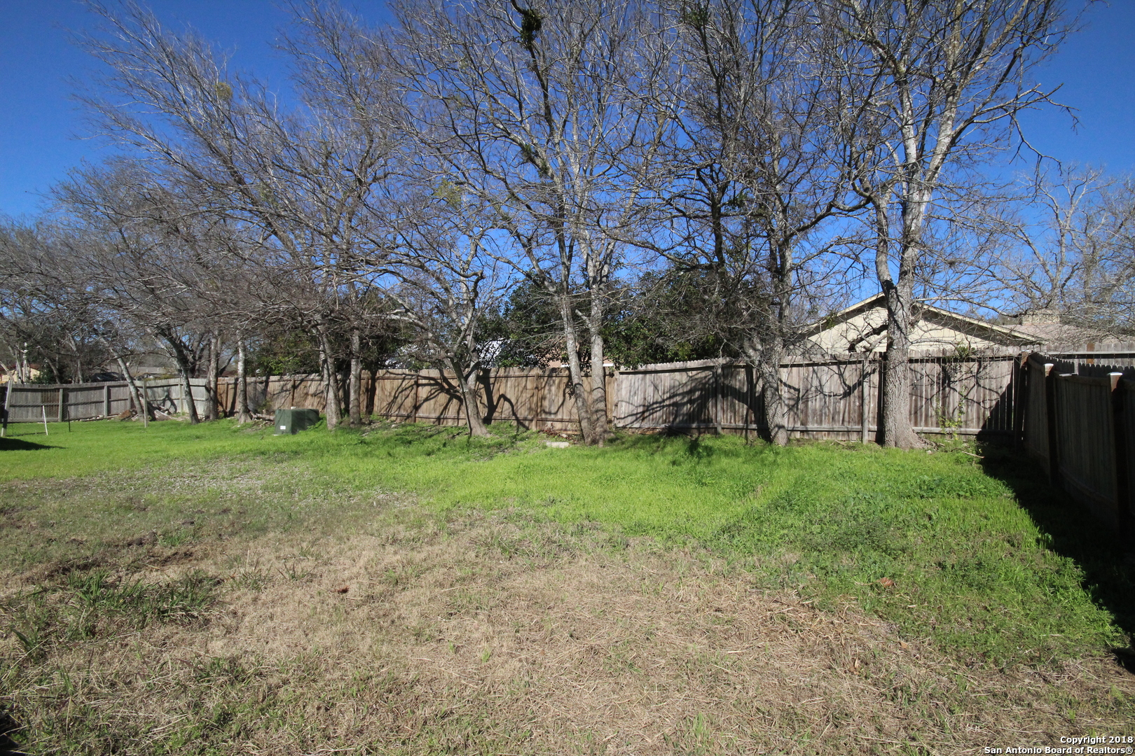 14520 Clovelly Wood San Antonio TX 78233