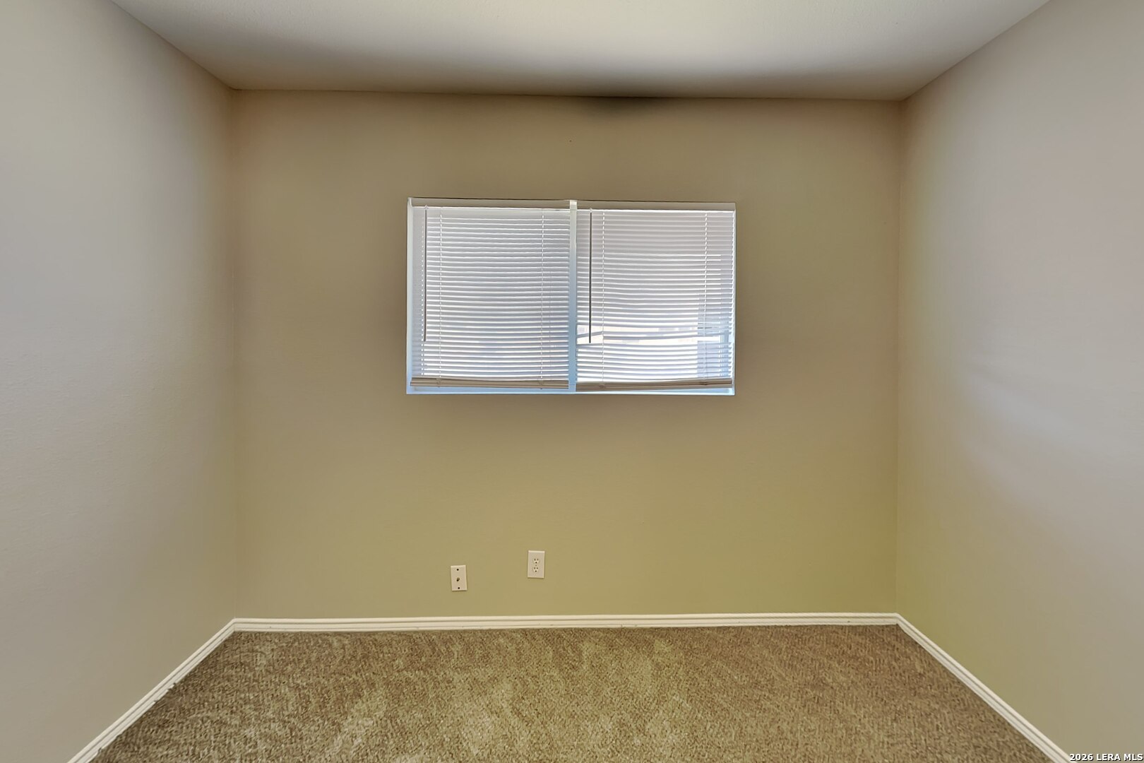 12612 Mexican Plum San Antonio TX 78253