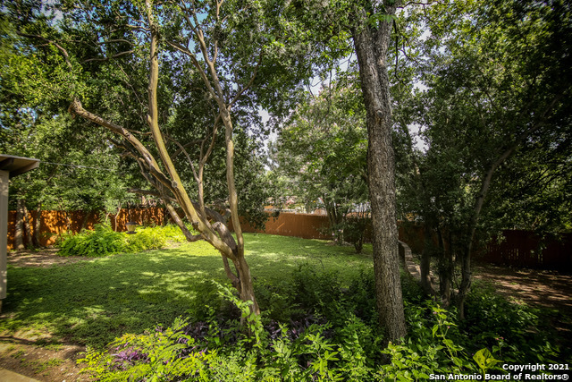 3811 Ridgeline Drive San Antonio TX 78228