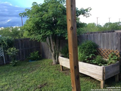 11459 Coral Canyon San Antonio TX 78252