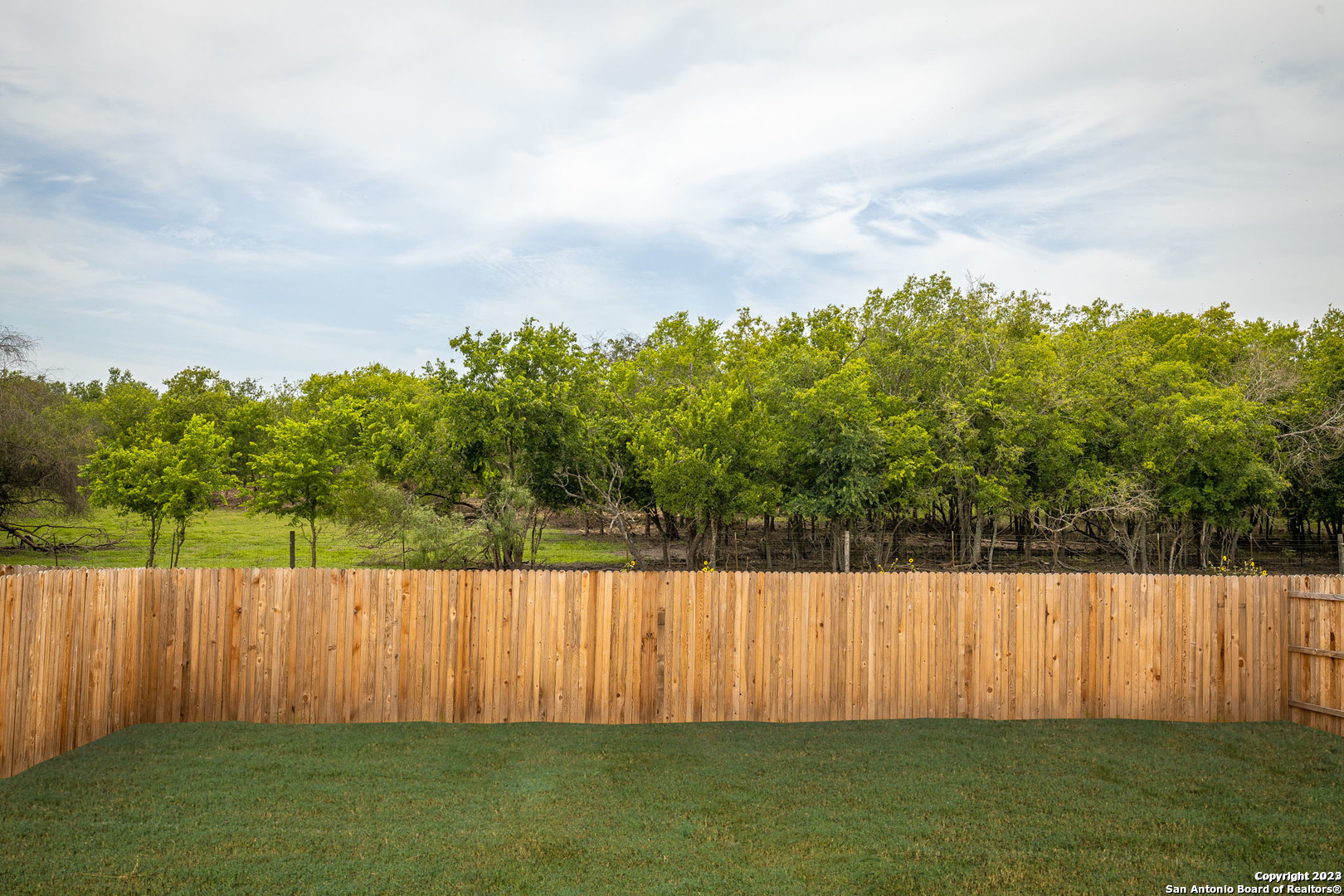 2614 Pechora Pipit New Braunfels TX 78130