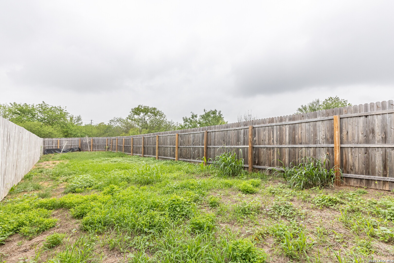 7125 Elm Cove San Antonio TX 78244