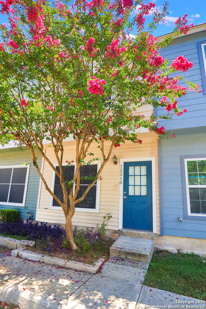 12210 Apricot Drive San Antonio TX 78247