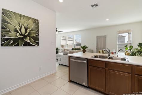 11538 Hocus Pocus San Antonio TX 78245