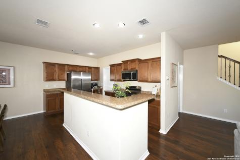 1119 Pinnacle Falls San Antonio TX 78260