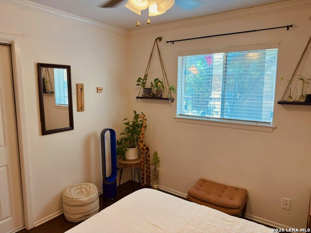 7430 Saddlewood Street San Antonio TX 78238