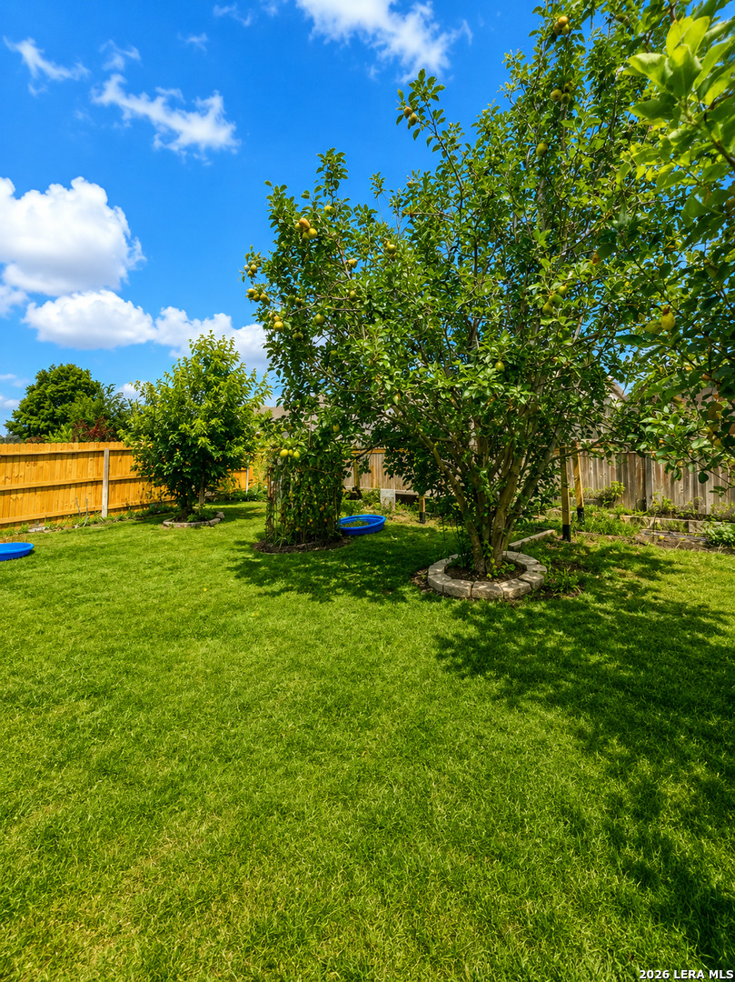 841 Marbella Cibolo TX 78108