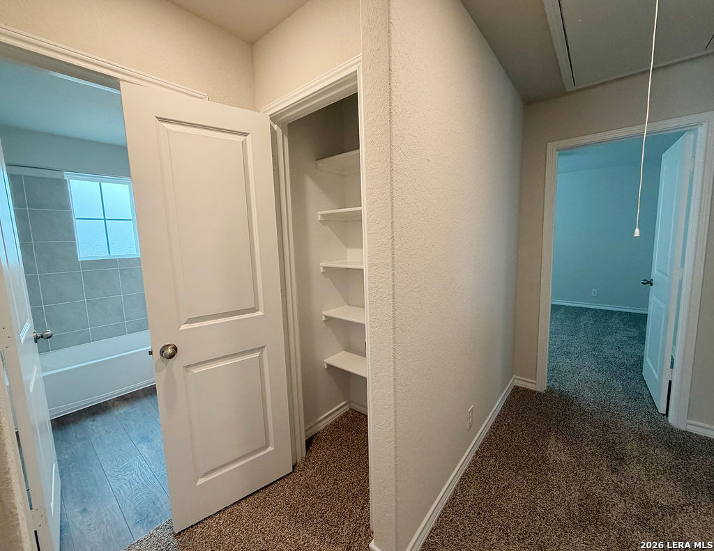 547 Avalon Banks Cibolo TX 78108