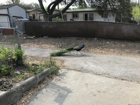 4626 Duquesne Drive San Antonio TX 78229