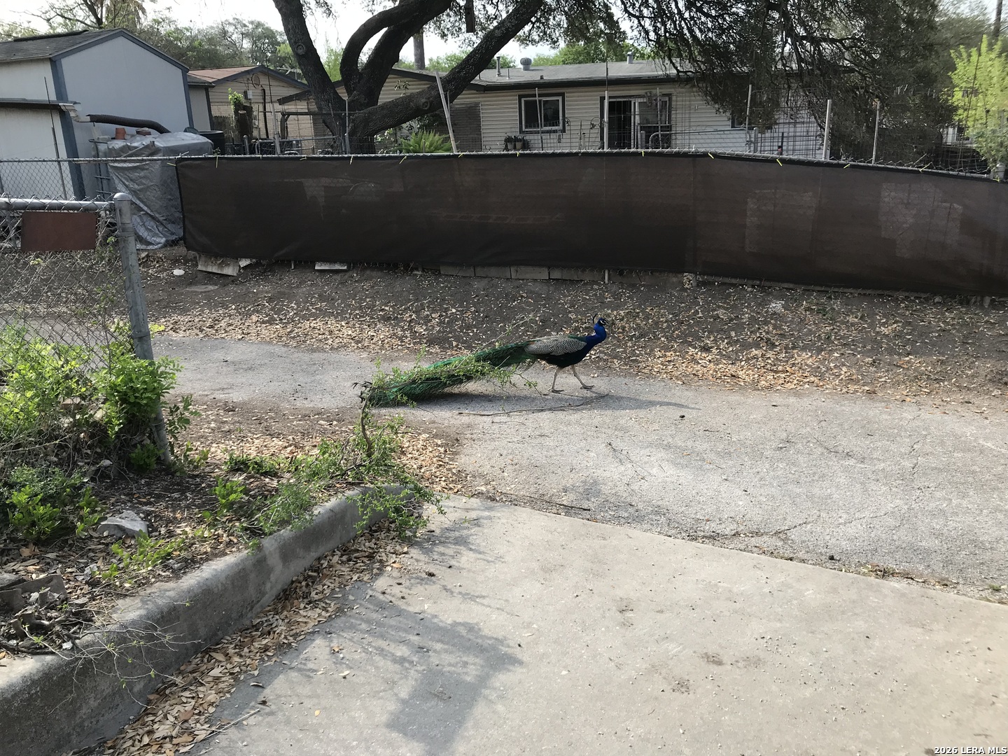 4626 Duquesne Drive San Antonio TX 78229