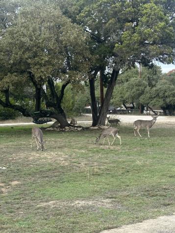 3201 Oak Ridge Horseshoe Bay TX 78657