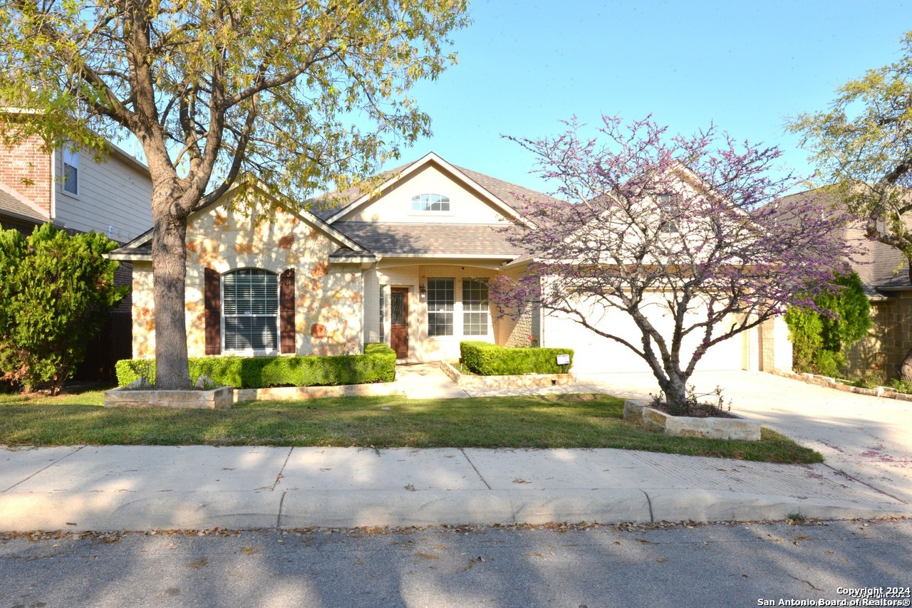 2402 Cortona Mist San Antonio TX 78260