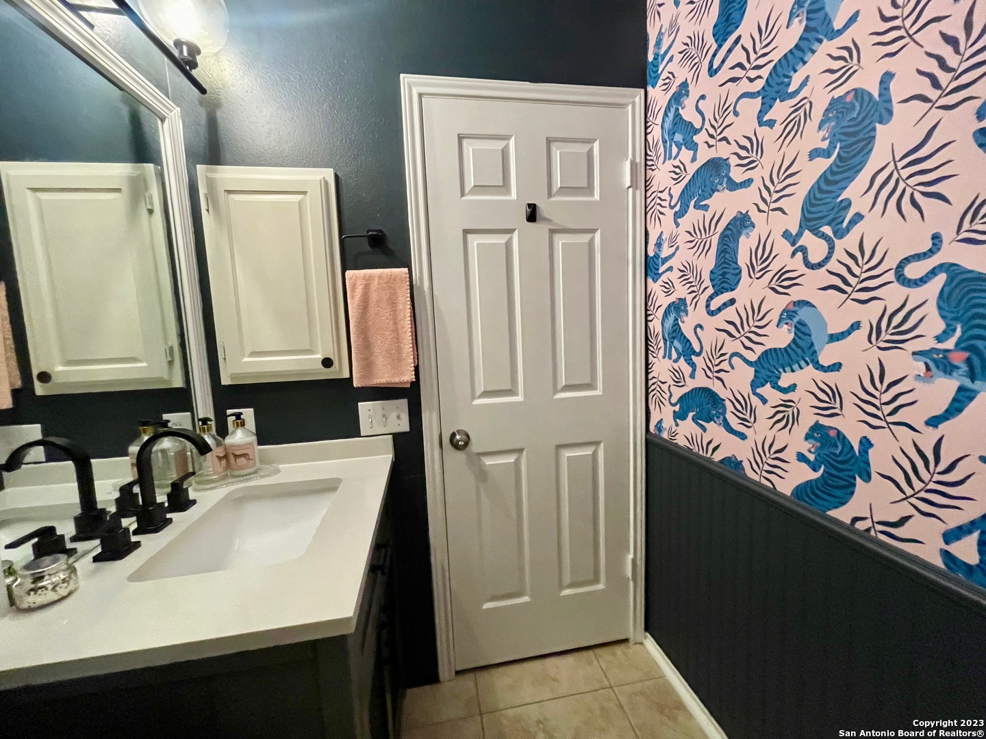 29608 Terra Vista Fair Oaks Ranch TX 78015