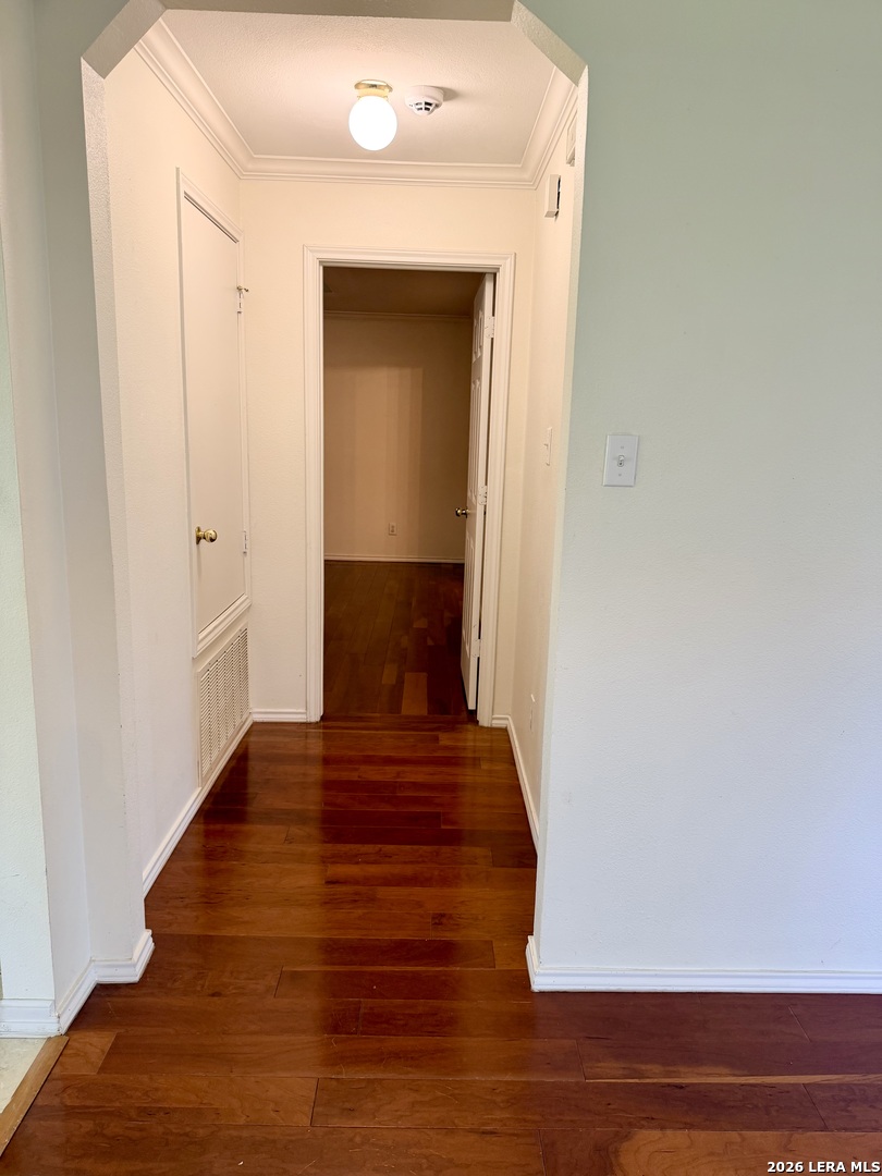 164 Spring Willow Cibolo TX 78108