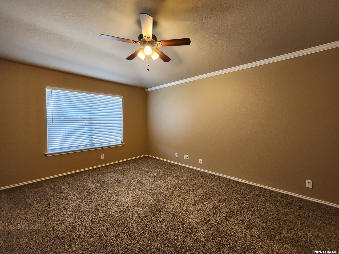 246 Crane Crest Drive New Braunfels TX 78130