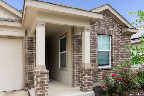 13119 Rosemary Cove St Hedwig TX 78152