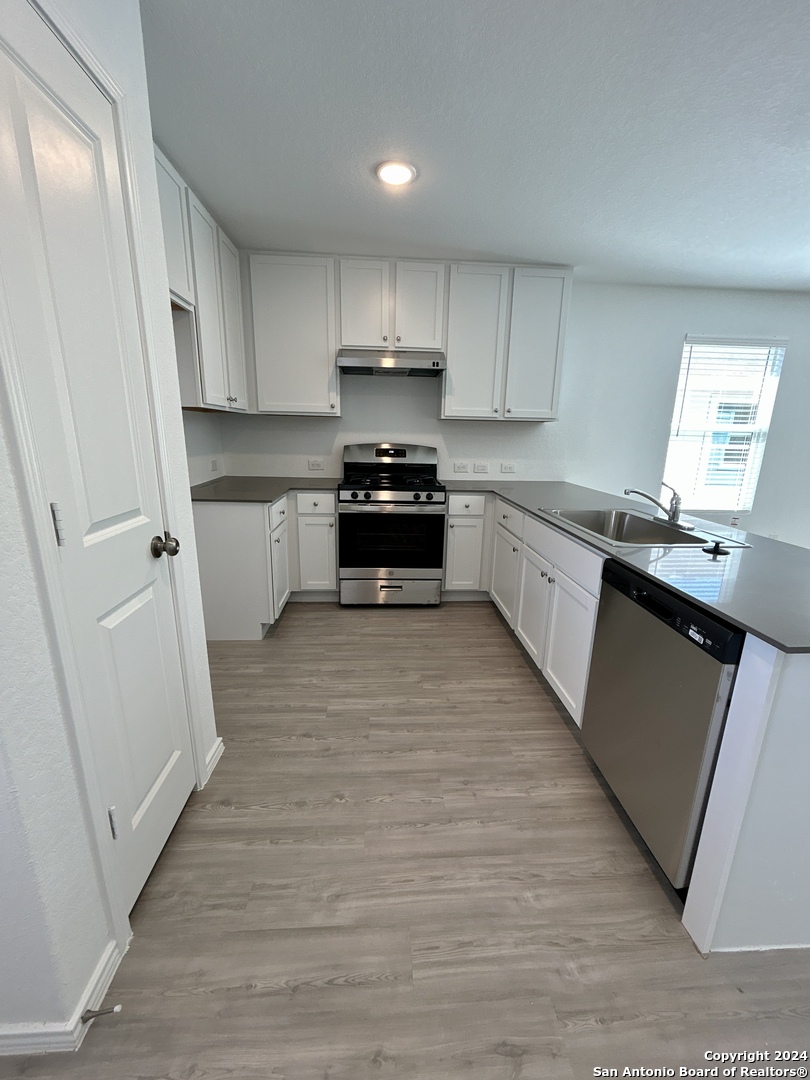 751 Bullsnake New Braunfels TX 78130