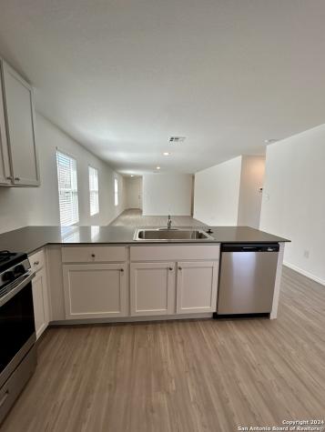 751 Bullsnake New Braunfels TX 78130