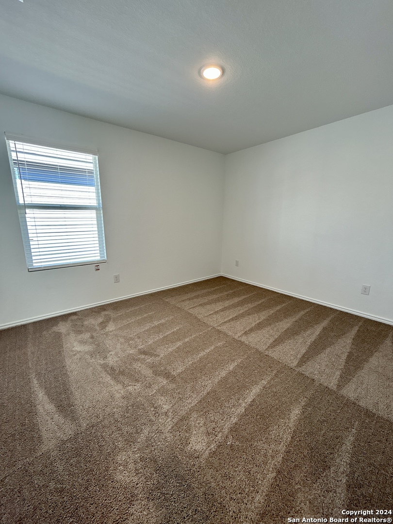 751 Bullsnake New Braunfels TX 78130