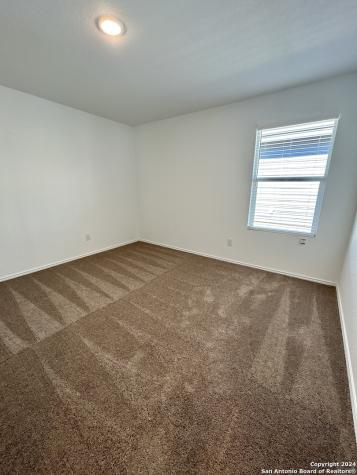 751 Bullsnake New Braunfels TX 78130