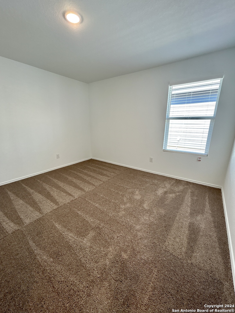 751 Bullsnake New Braunfels TX 78130