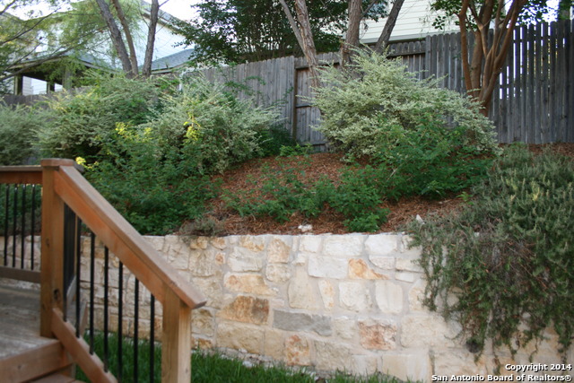 1243 Tweed Willow San Antonio TX 78258