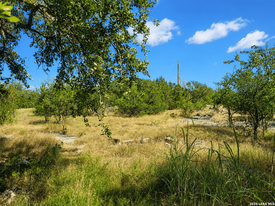 735 Horseshoe Track Spring Branch TX 78070