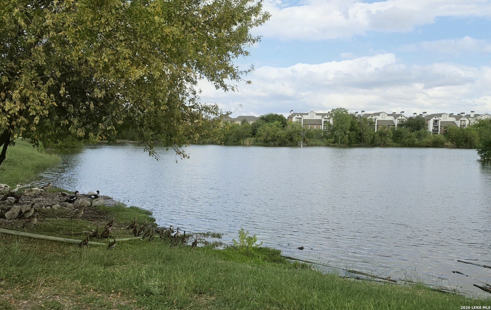 9022 Gull Lake San Antonio TX 78245