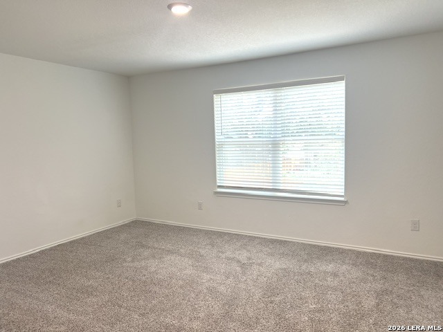 166 Canopy Oak Road New Braunfels TX 78130