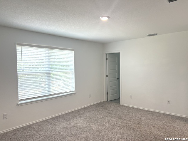 166 Canopy Oak Road New Braunfels TX 78130