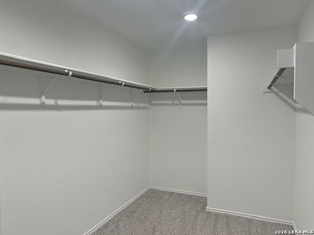 166 Canopy Oak Road New Braunfels TX 78130