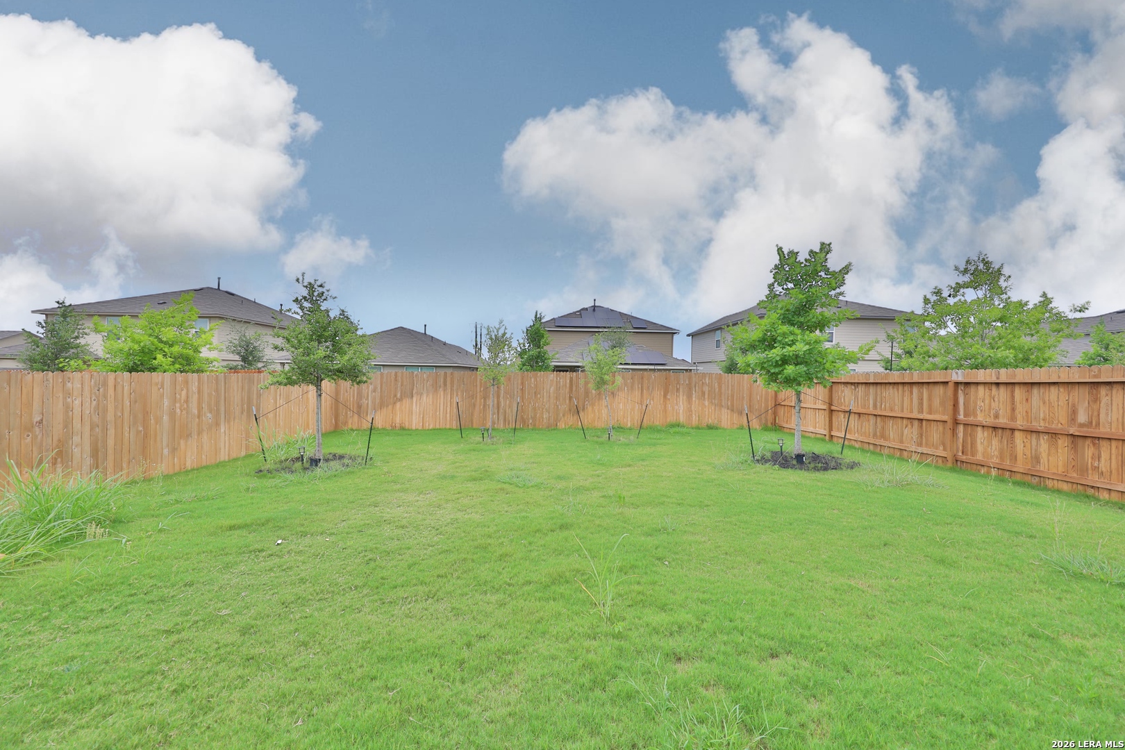 116 Scarlet Macaw San Antonio TX 78253