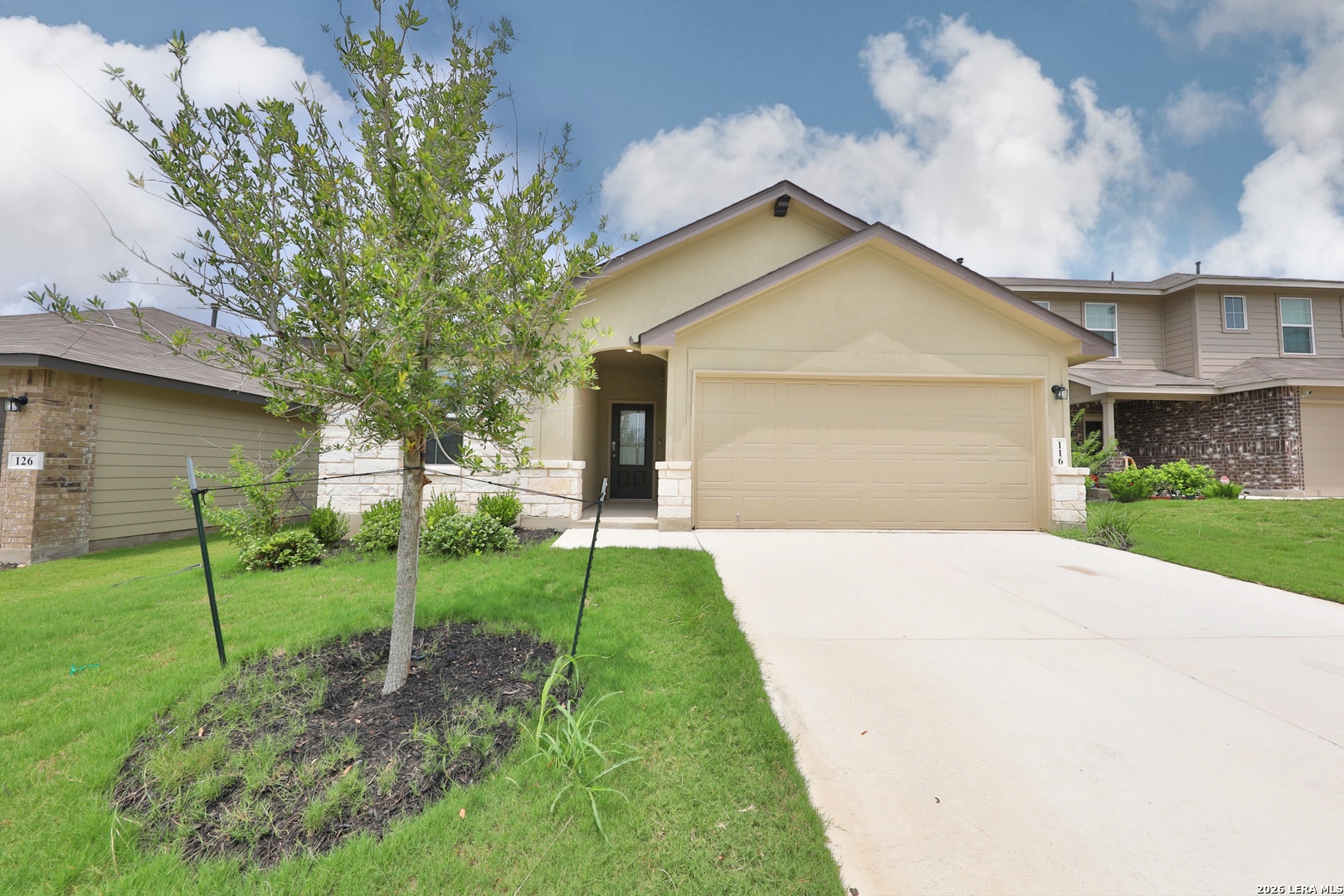 116 Scarlet Macaw San Antonio TX 78253