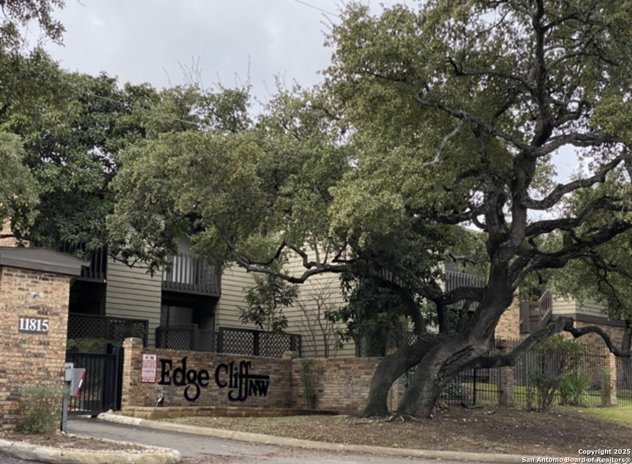 11815 Vance Jackson San Antonio TX 78230