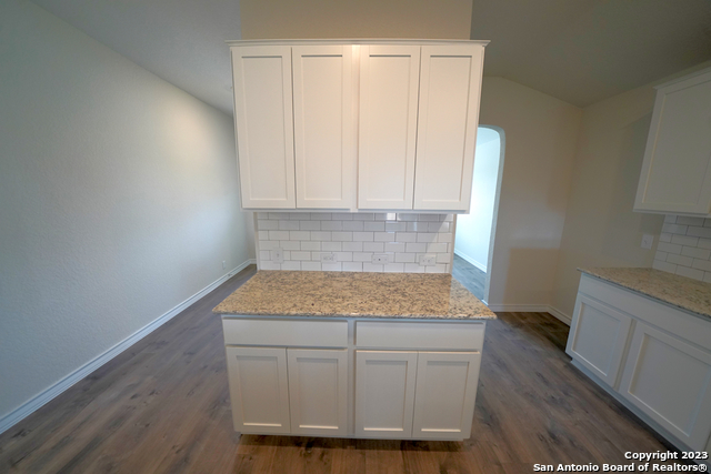 336 Great Raft Cibolo TX 78108