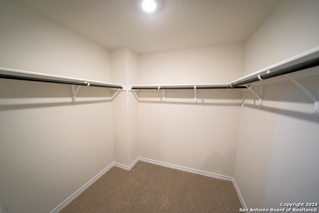 336 Great Raft Cibolo TX 78108