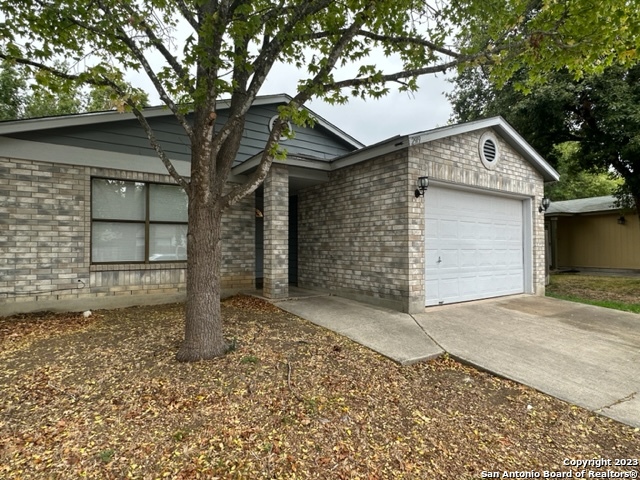 2919 Beech Plain Drive San Antonio TX 78245