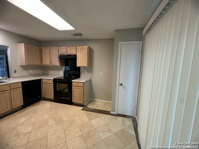 2919 Beech Plain Drive San Antonio TX 78245