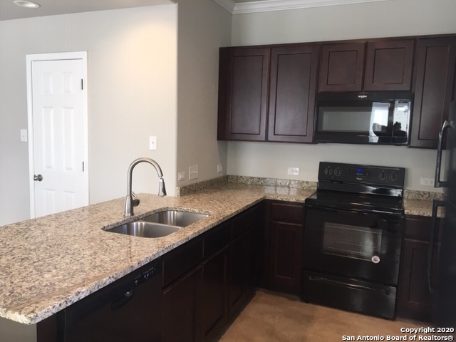 16910 Spirit Brook Selma TX 78154