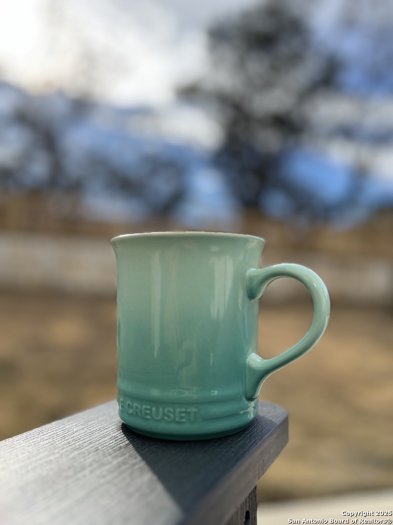 7822 Ponderosa Pine Boerne TX 78015