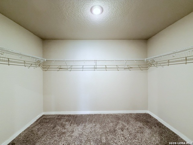 10739 Rosalina Loop Converse TX 78109