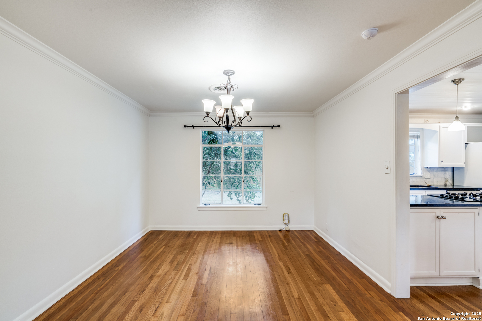 100 Seford Drive Terrell Hills TX 78209