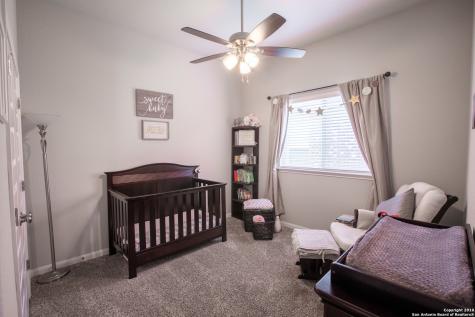 22419 Carriage Bush San Antonio TX 78261